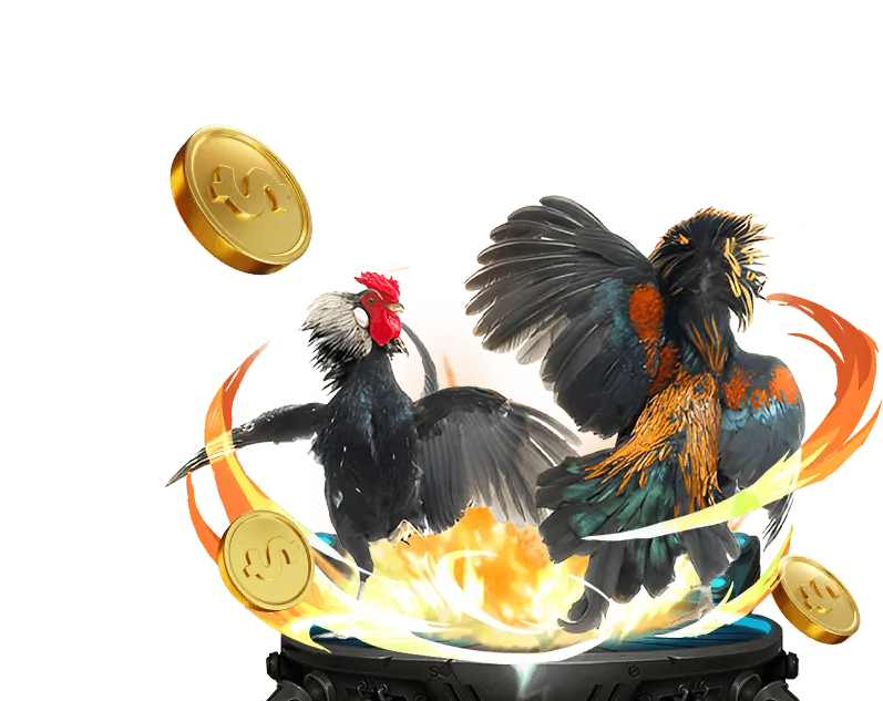 Quy tắc chơi Texas Poker